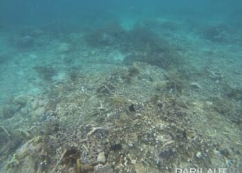 Terumbu karang di depan Pulau Popaya yang hancur akibat aktifitas pengeboman ikan oleh nelayan. FOTO: CHRISTOPEL PAINO