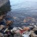 13 Juta Ton Plastik Terbuang ke Lautan