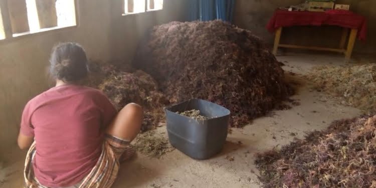 Pemerintah Kurang Aktif Membangun Ekonomi Desa Pesisir  