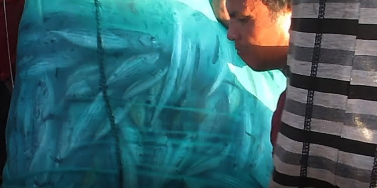 2017, Peningkatan Stok Ikan