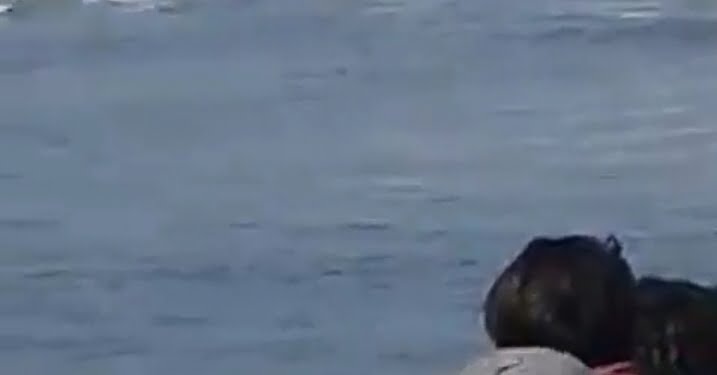 Kecelakaan Kapal di Banten, 21 Tim Peneliti Primata IPB Selamat