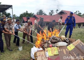 Penyelundupan Sirip Hiu Digagalkan di Banjarmasin dan Sentani