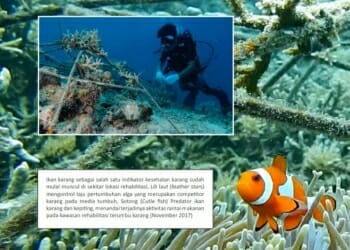 Rehabilitasi 6.000 Fragmen Karang di Pulau Samalona