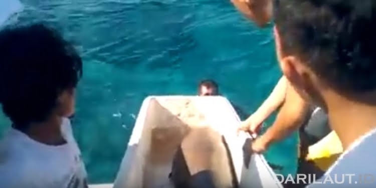 Dugong di Pulau Mantehage, Dilepas ke Laut