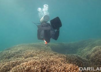 Unpad Teliti Sampah di Pulau Terluar