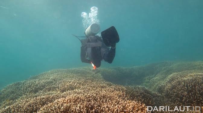Unpad Teliti Sampah di Pulau Terluar