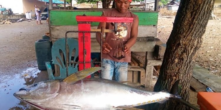 Ekspor Tuna Loin di Gorontalo dan NTT Meningkat