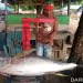 Tangkapan tuna di perairan Gorontalo, Teluk Tomini. FOTO: DARILAUT.ID