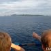 Foto: Lumba-Lumba di Teluk Tomini