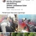 2018, Tiga Kasus Hiu Paus yang Viral di Media Sosial