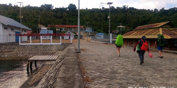 Ratusan Monyet Togean di Malenge