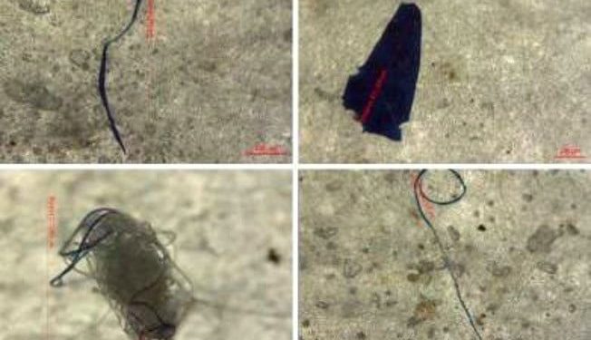 Mikroplastik di Laut Jawa Diduga dari Laut Cina Selatan