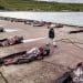 Pembantaian Paus Pilot di Kepulauan Faroe