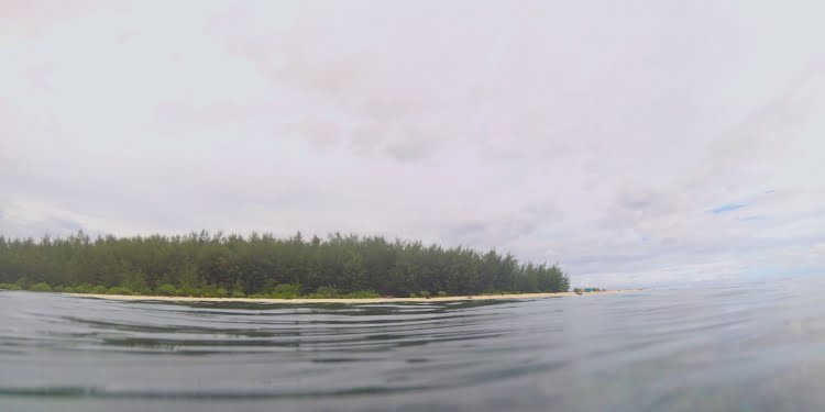 Inilah Pulau Terbaik bagi Penyu di Gorontalo