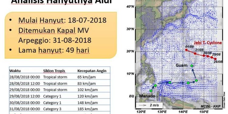 Analisis 49 Hari Aldi Novel Adilang Hanyut di Laut Lepas