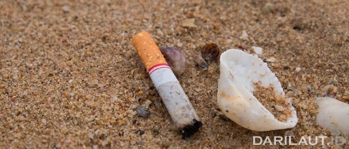 Puntung Rokok, Sampah Terbesar di Lautan