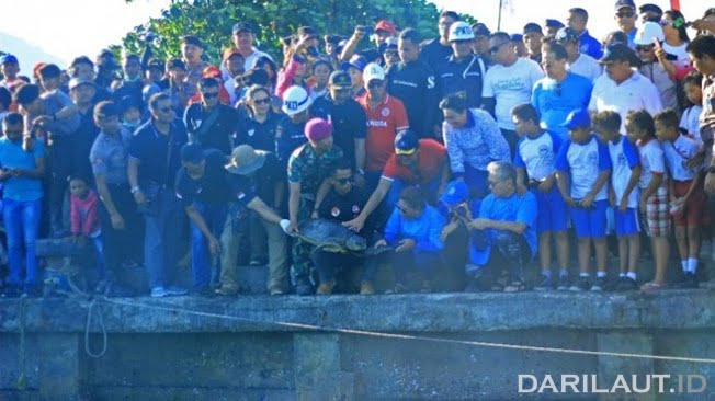 Lepas Penyu Sitaan, Menteri Susi Ingatkan Jangan Buang Plastik ke Laut