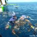 Sampah plastik yang menggenangi tempat hiu paus di Desa Botubarani, Kecamatan Kabila Bone, Gorontalo. FOTO: CHRISTOPEL PAINO