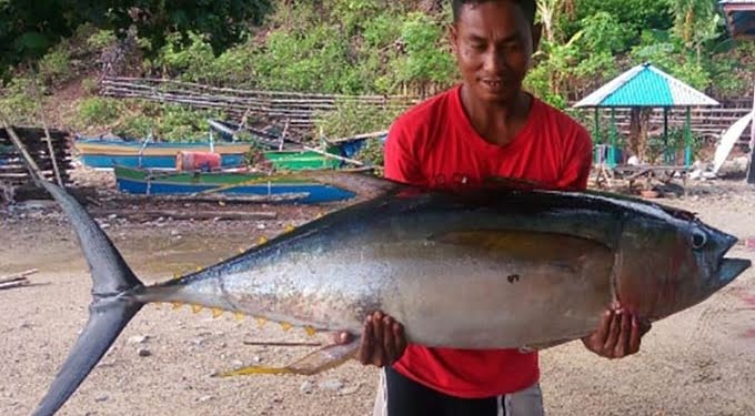 30 Persen Bahan Baku Ikan Indonesia Diekspor ke Amerika
