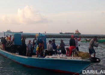 DFW Indonesia: Usaha Perikanan Belum Semuanya Transparan