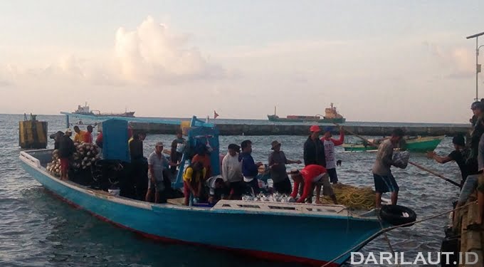 DFW Indonesia: Usaha Perikanan Belum Semuanya Transparan