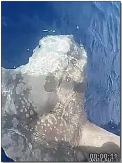 Pesan Bagi Nelayan di Teluk Manado