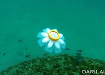 Robot Ubur-Ubur Penjelajah Ekosistem Laut