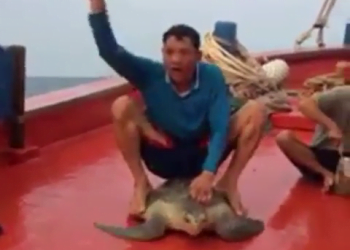 Seorang nelayan yang tengah menyiksa penyu membuat netizen murka FOTO: DOK. ISTIMEWA