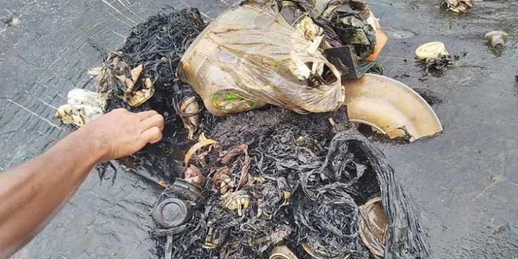 Tali rafia di perut paus sperma