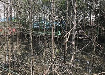 Tumpahan minyak Balikpapan