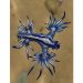 Blue Dragon