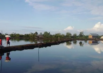 Tambak