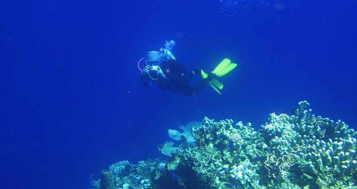 Fotografi bawah laut