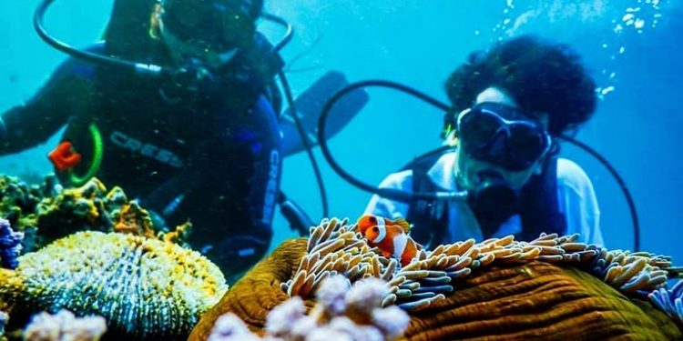 Wisata bawah laut di Bangsring