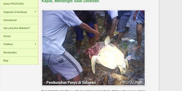 Menteri Susi Soroti Aksesori Karapaks Penyu di Berau
