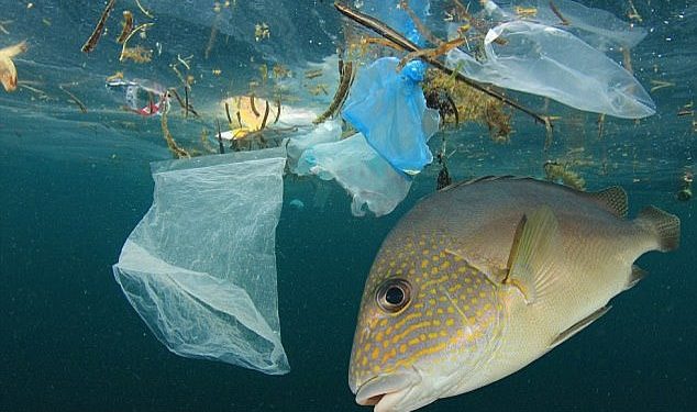 Sampah plastik