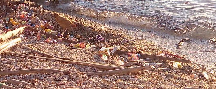 Sampah plastik