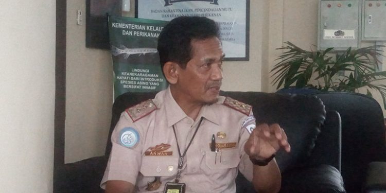 BKIPM Denpasar