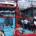 Kapal ikan