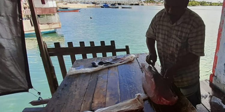 Tuna loin