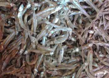 Ada Ikan Kering Mengandung Formalin di Purbalingga