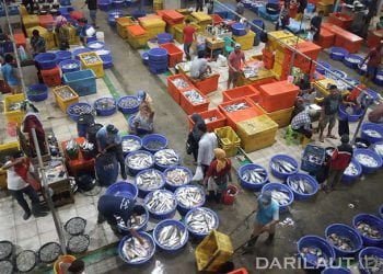 Lapak Ikan di Muara Baru Ramai di Malam Hari