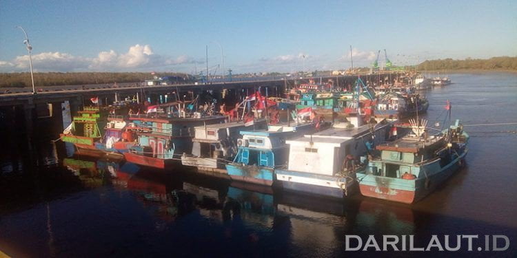 Kontainer Ikan Kurang di Merauke, Kemenko Kemaritiman: Tol Laut Perlu Digalakkan