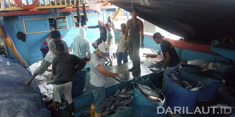 Sistem Bagi Hasil di Kapal Perikanan Rugikan Nelayan