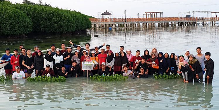 Mangrove