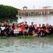 Mangrove