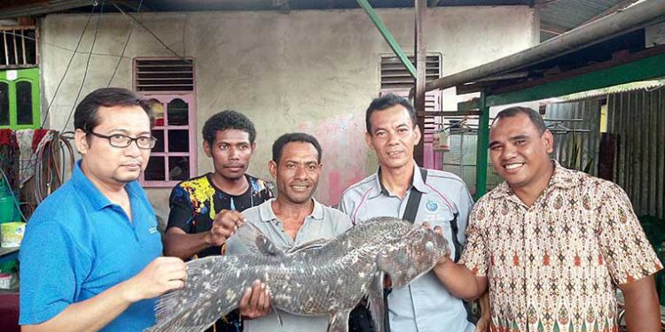 Ikan Raja Laut Coelacanth Kembali Ditemukan di Raja Ampat