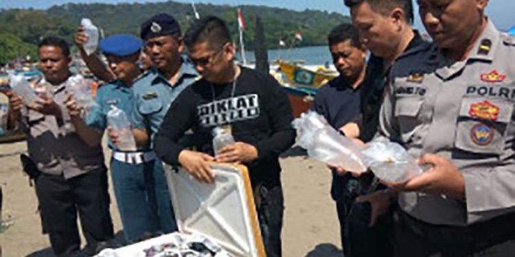 15.250 Benih Lobster Dilepas di Perairan Pangandaran