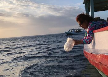 Ribuan Benih Lobster Dilepas di Perairan Pulau Menjangan