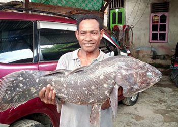 Ikan Raja Laut Coelacanth Lebih Tua dari Dinosaurus